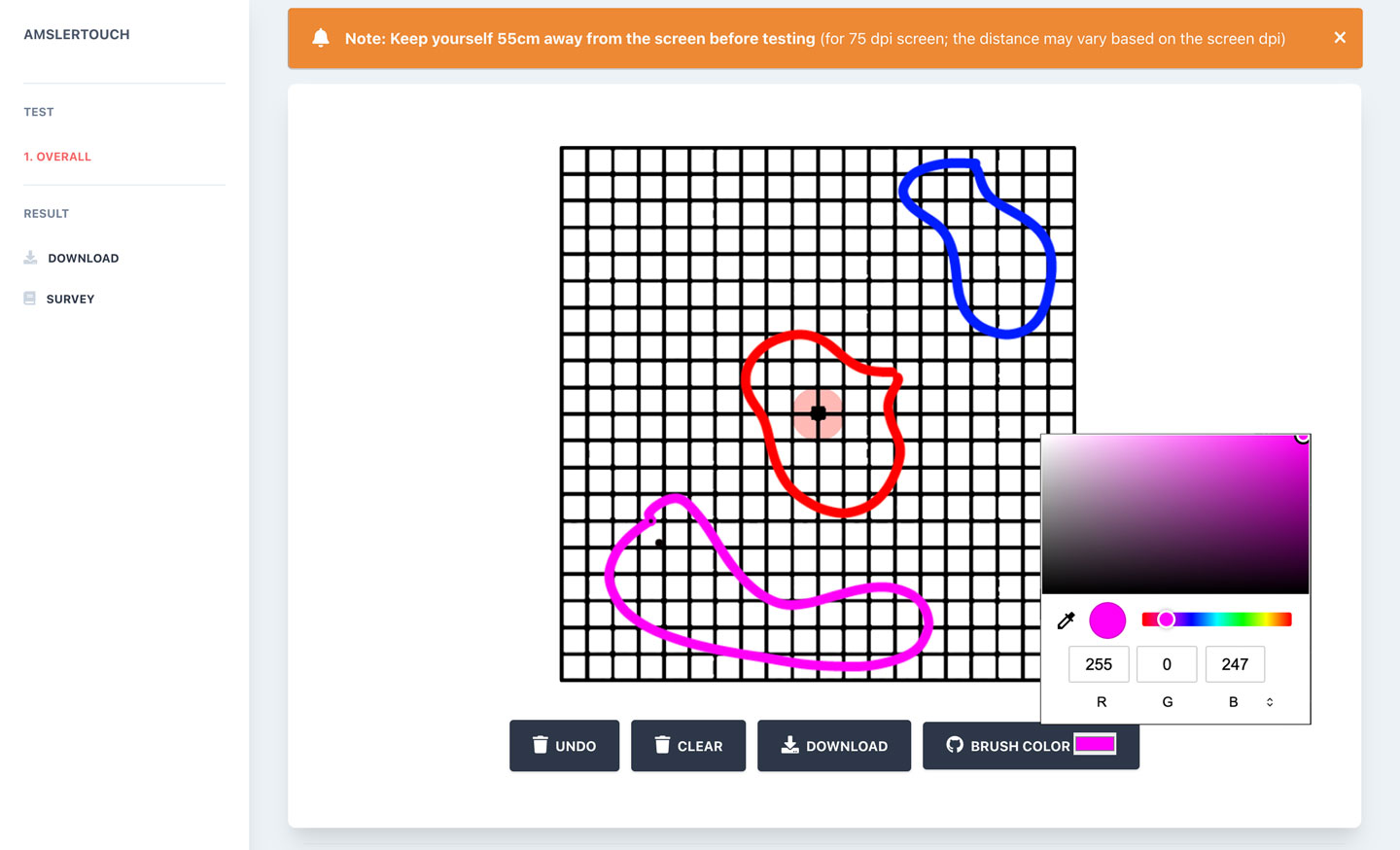 Amsler touch project image